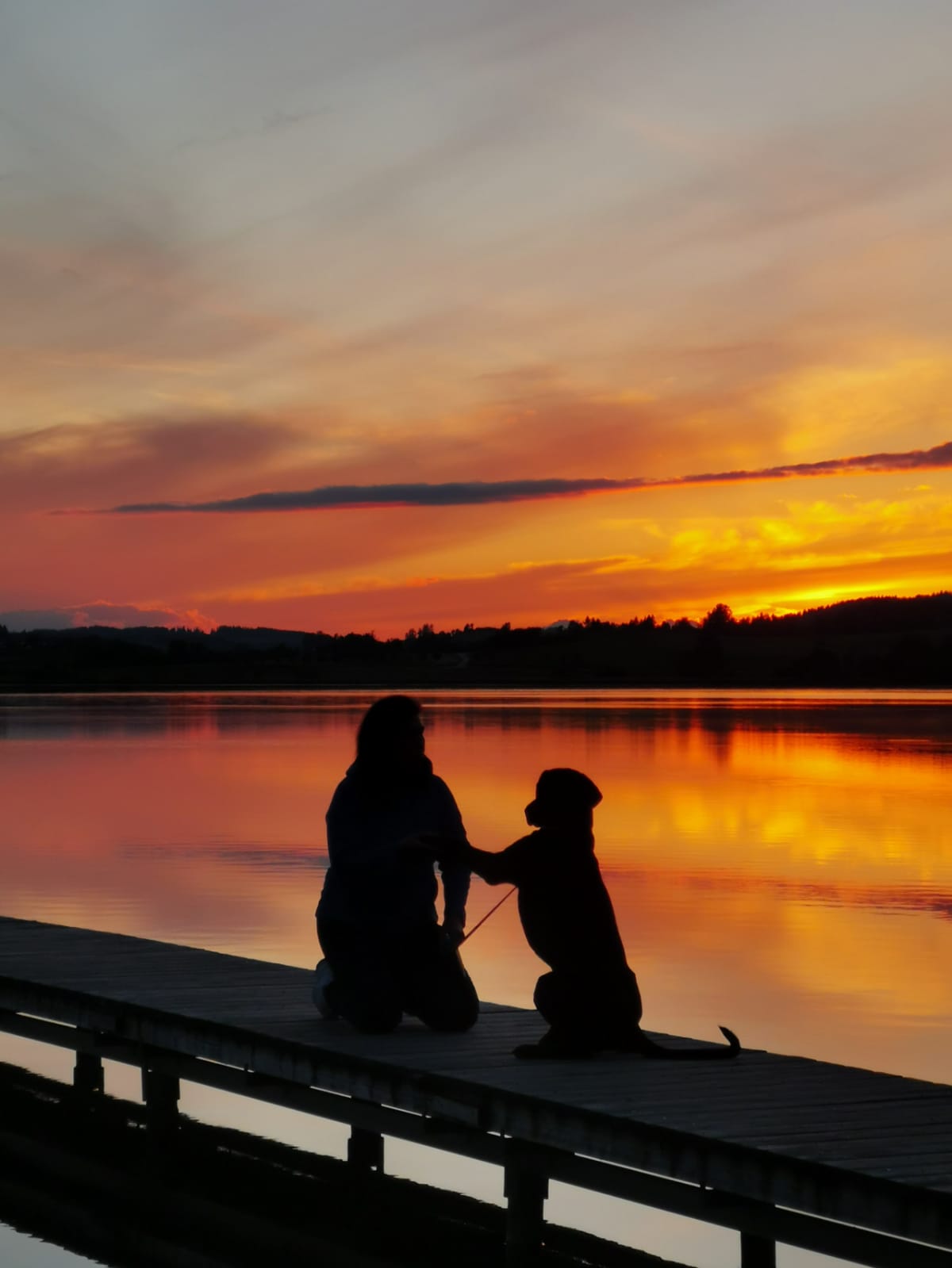 img 20251129 wa0010 img 20251129 wa0010