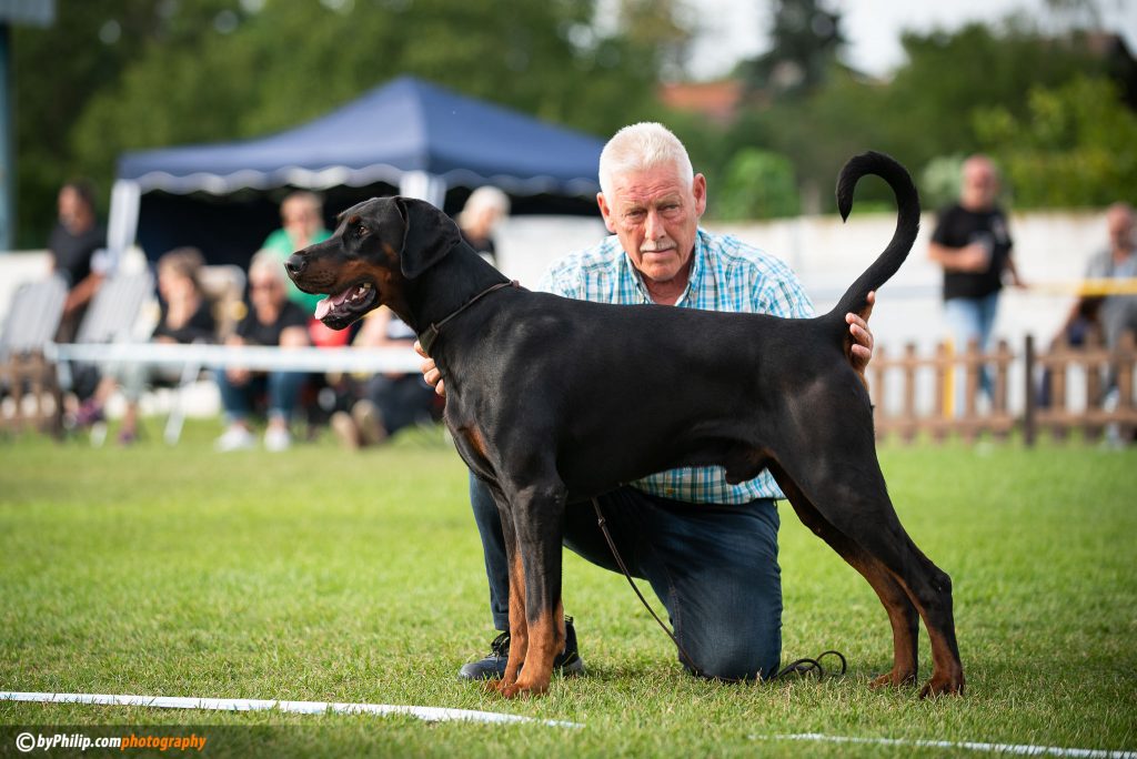 received_3573537559553254